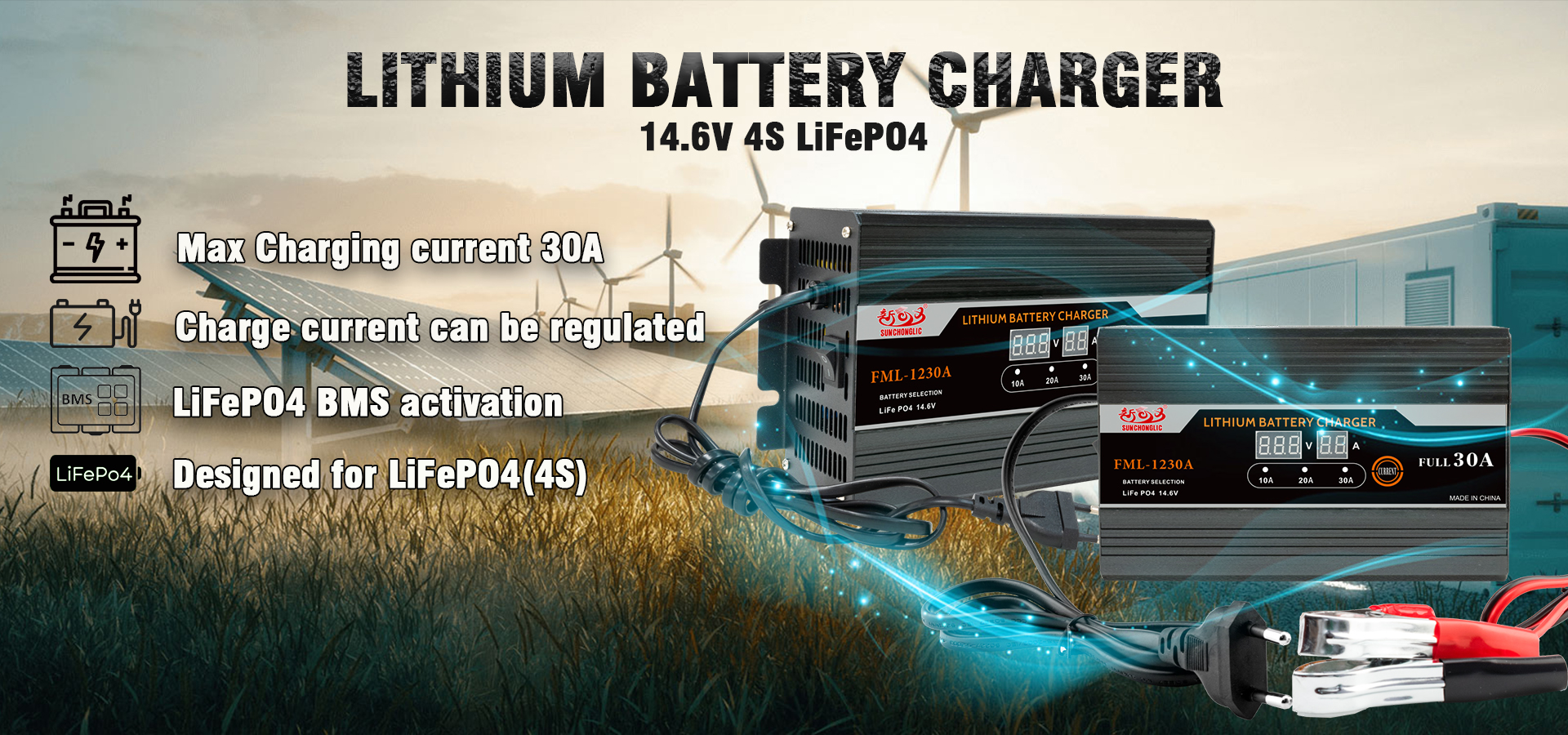 LiFePO4 battery charger